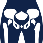 Hip joint